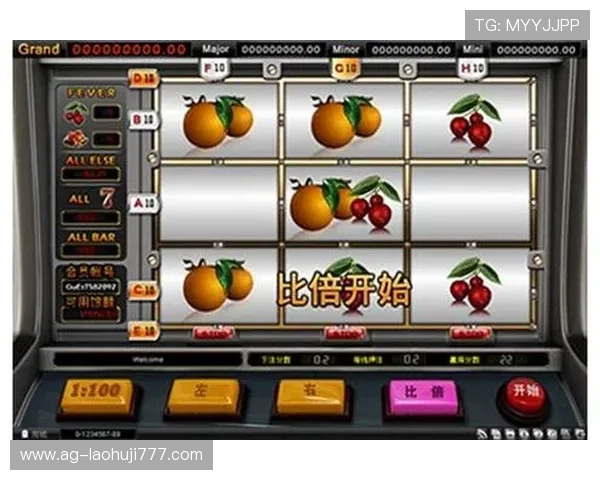 水果老虎机数字站为玩家打造公平公正的游戏环境与优质服务