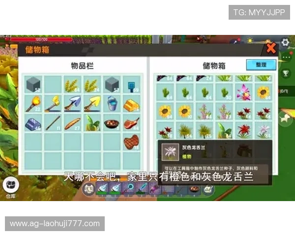 角子老虎机am7游戏规则详解帮助新手快速上手掌握核心玩法